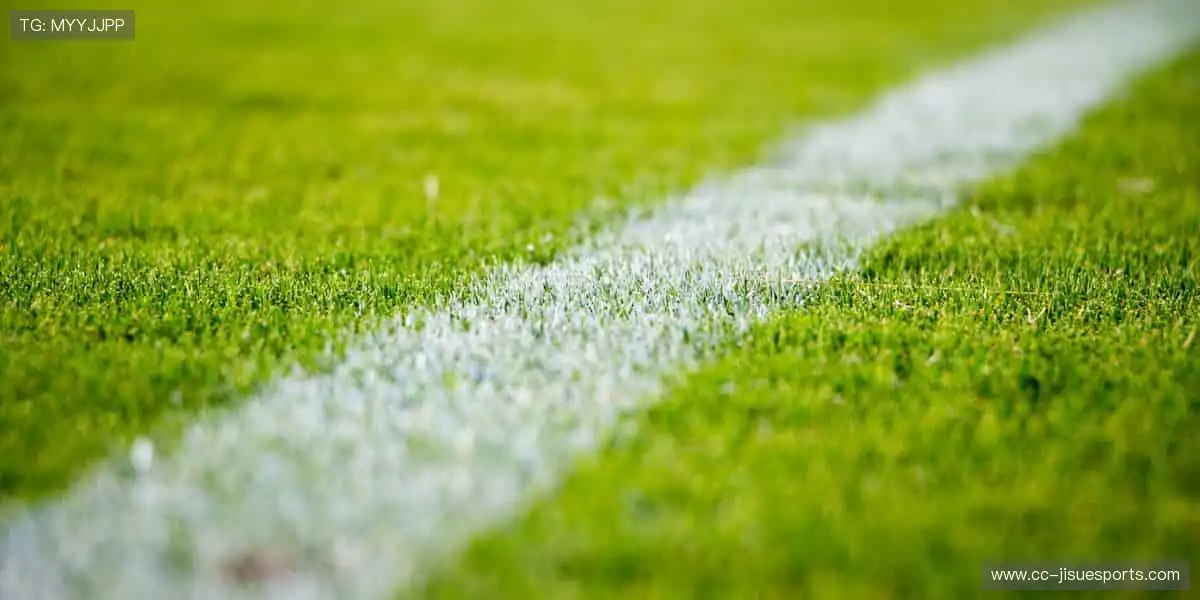 随时随地，直击赛场！📱🎯